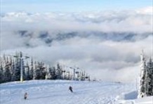 Spicy Sports Ski Rental (Blackcomb & Whistler)